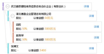 解析武漢靡思碧格商務信息咨詢合伙企業 有限合伙模式下的專業咨詢服務